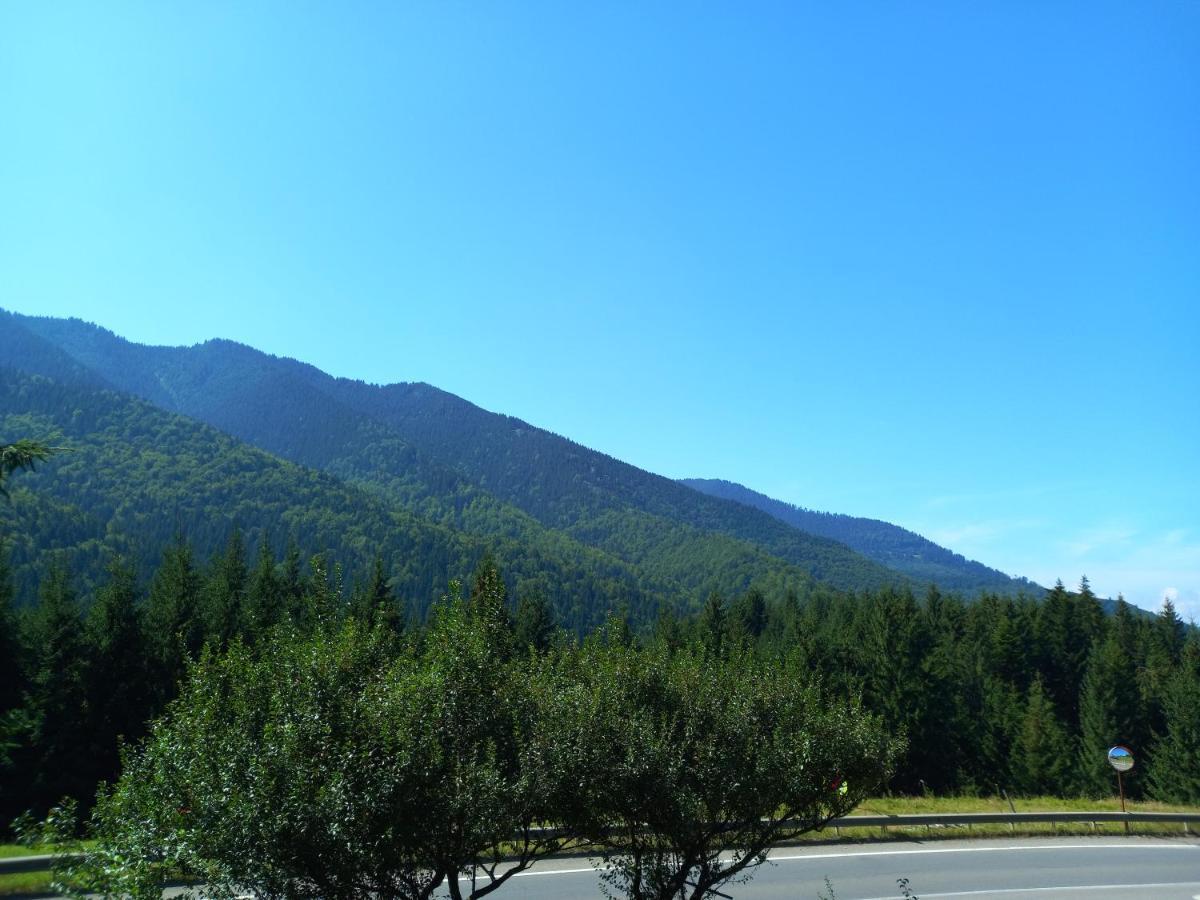 Cabana Forest Villa Piatra Fantanele Luaran gambar