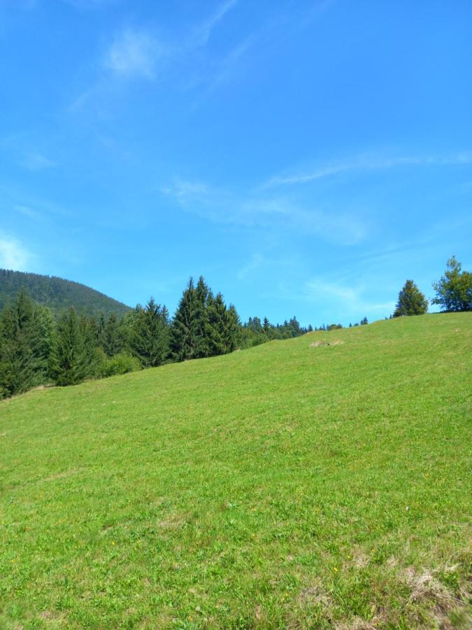 Cabana Forest Villa Piatra Fantanele Luaran gambar