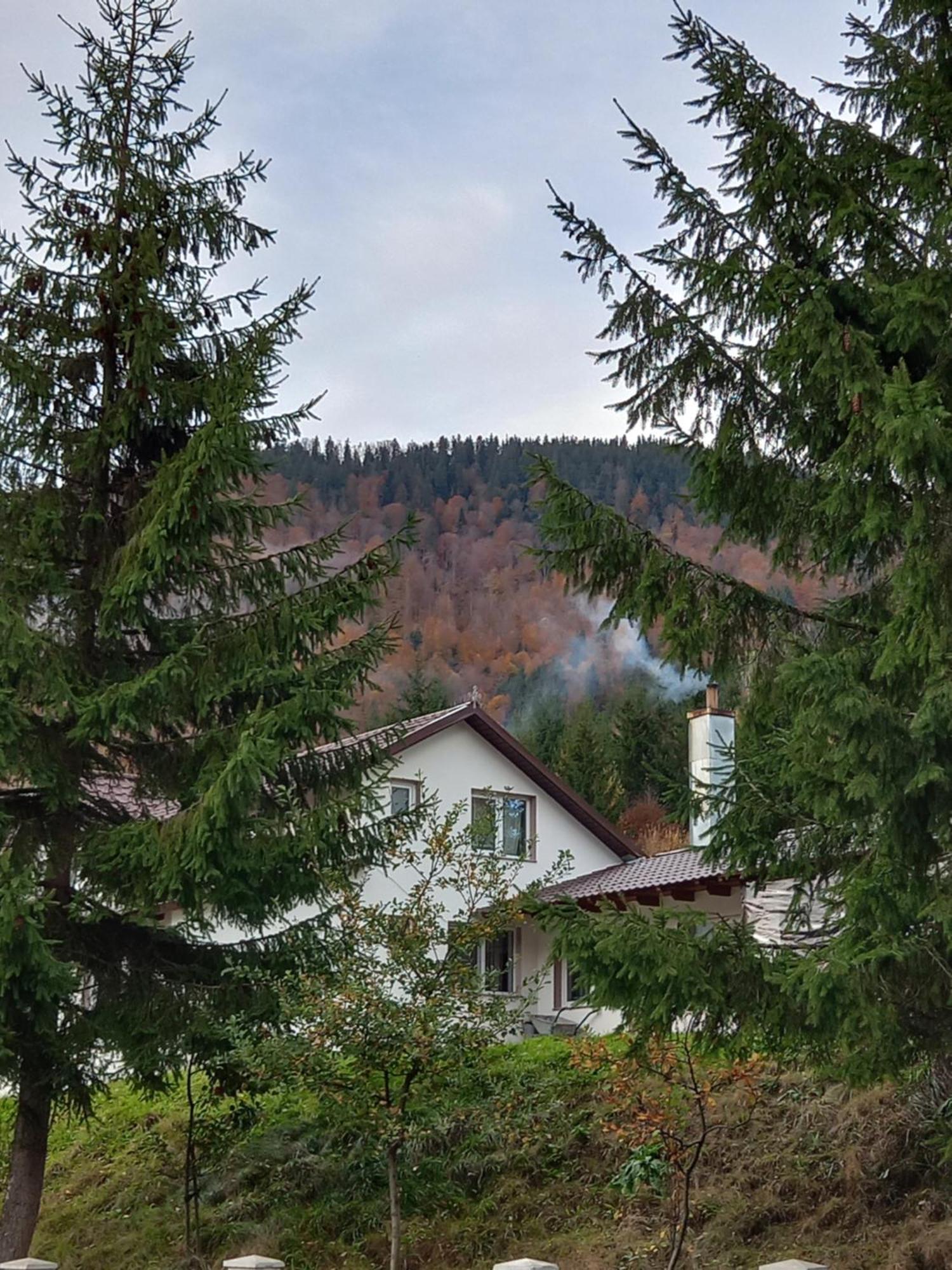 Cabana Forest Villa Piatra Fantanele Luaran gambar