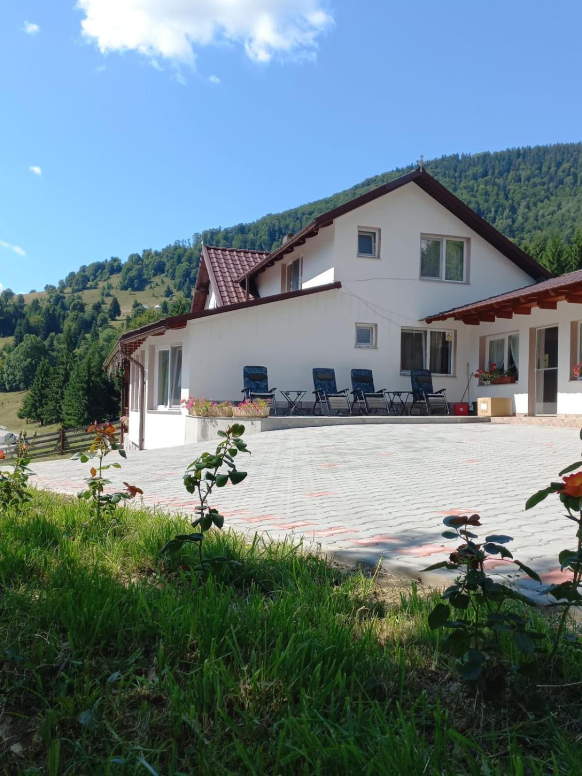 Cabana Forest Villa Piatra Fantanele Luaran gambar